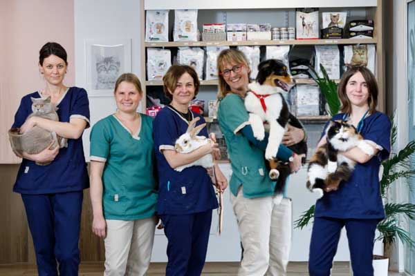 Bio'vet, un groupe dynamique et innovant. C'est avec fierté que nous, vétérinaires du groupe Bio'vet pour le cabinet de Bayonne et la clinique de St Martin, prenons le relais dès le 1 septembre 2020.